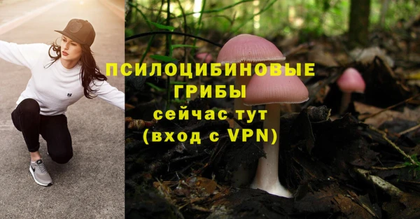 ECSTASY Алексин