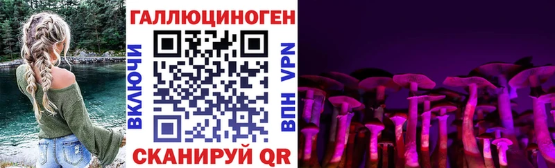 Псилоцибиновые грибы Cubensis  shop наркотические препараты  Дудинка  продажа наркотиков 